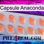 Anaconda Capsule 26